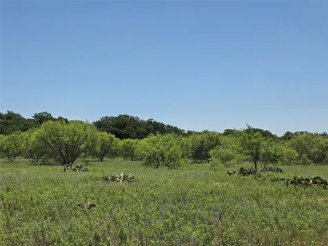 16695 County Road 421 Cross Plains TX 76443