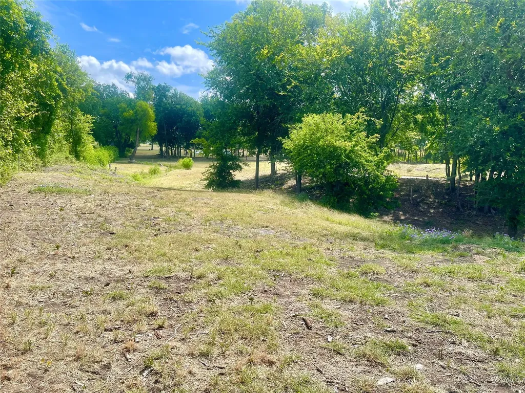 223 Longview Creek Trail Itasca TX 76055