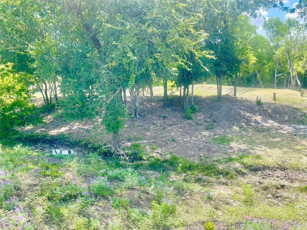 223 Longview Creek Trail Itasca TX 76055