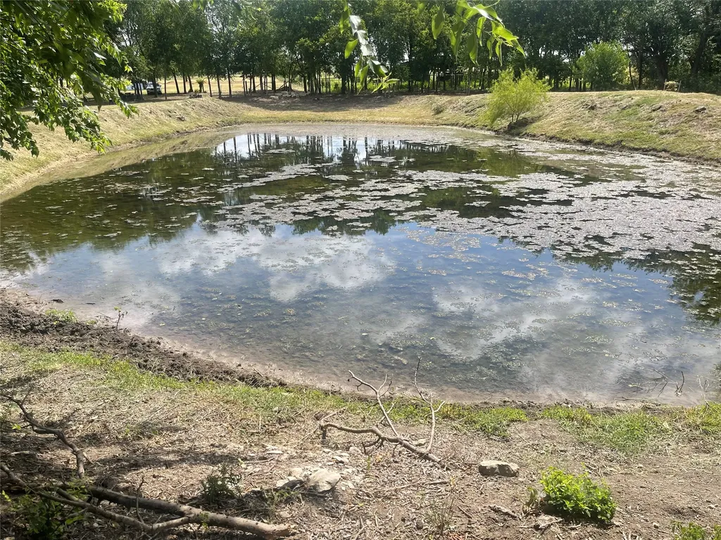 223 Longview Creek Trail Itasca TX 76055