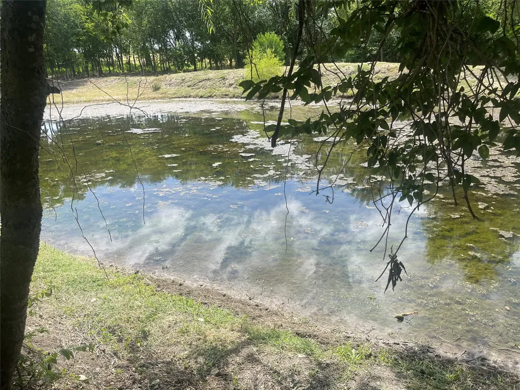 223 Longview Creek Trail Itasca TX 76055
