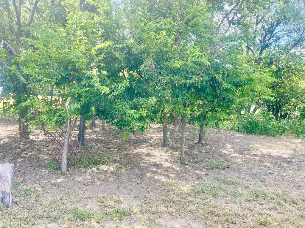 223 Longview Creek Trail Itasca TX 76055