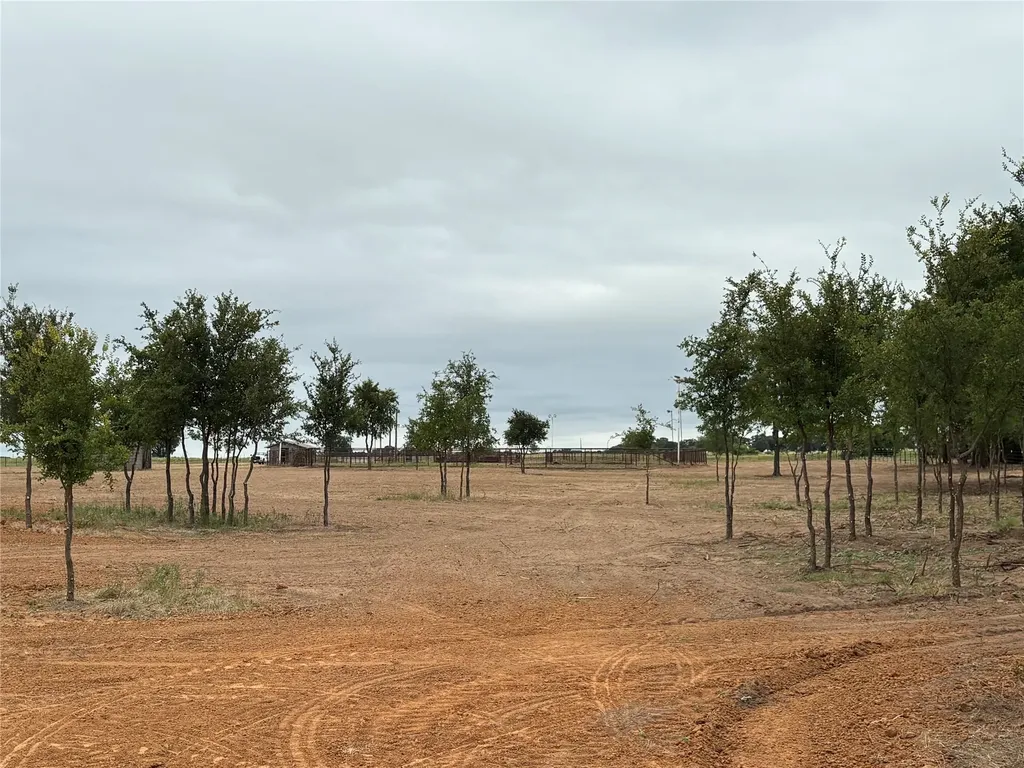 Tbd Highway 8 Gorman TX 76454