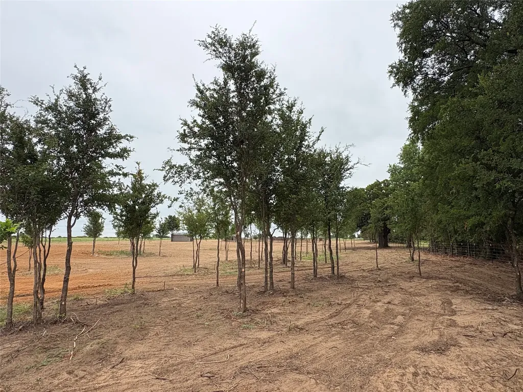 Tbd Highway 8 Gorman TX 76454
