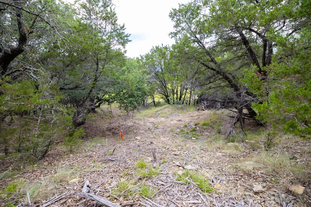 175 Mason Lane Santo TX 76472