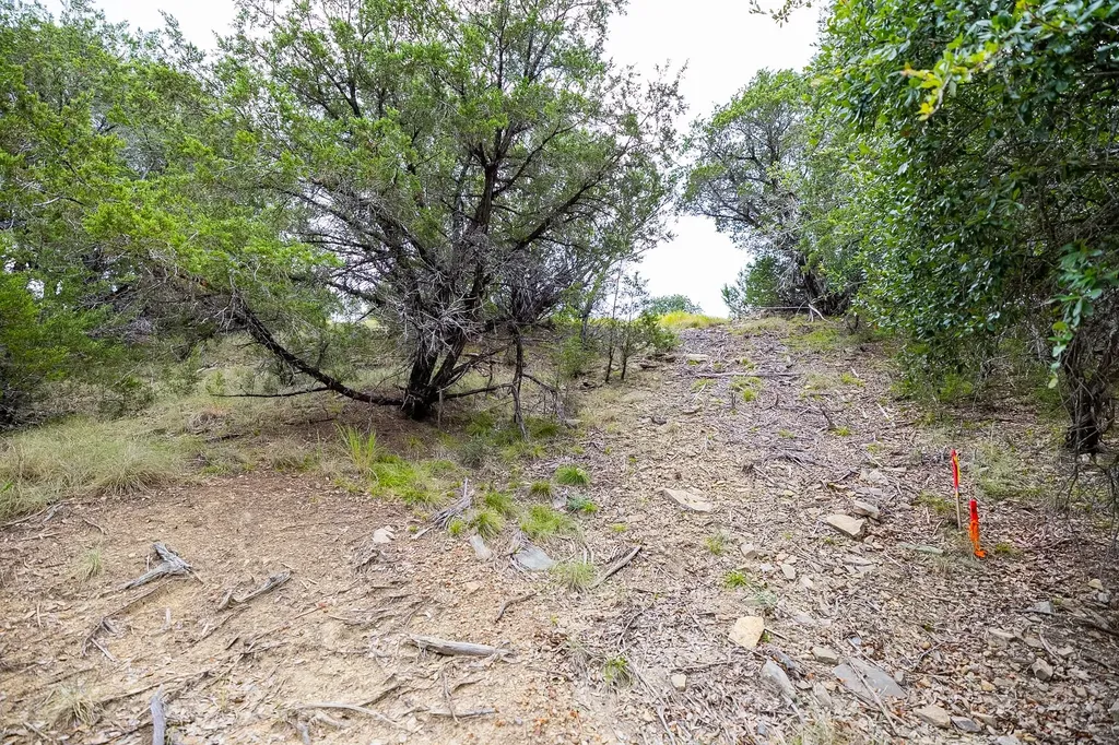 175 Mason Lane Santo TX 76472