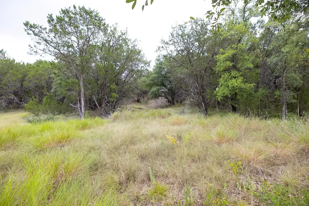 175 Mason Lane Santo TX 76472