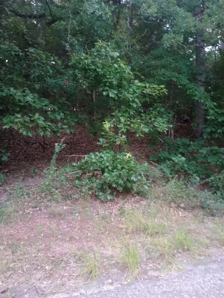 0000 Wildwood Murchison TX 75778