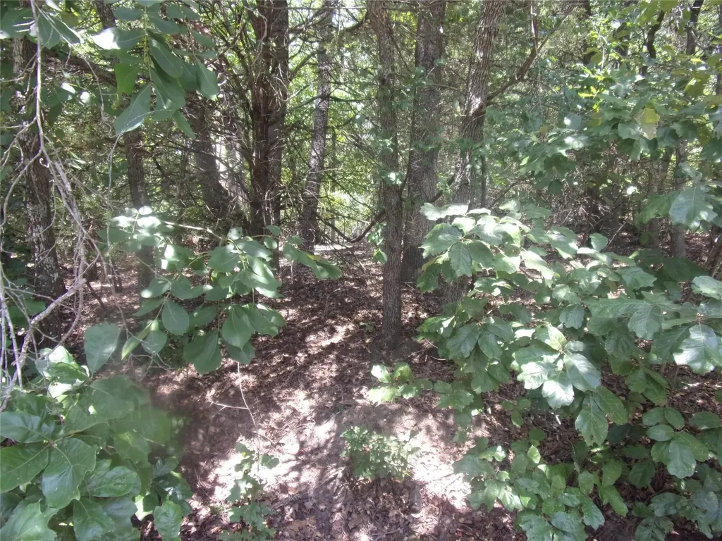 0000 Wildwood Murchison TX 75778