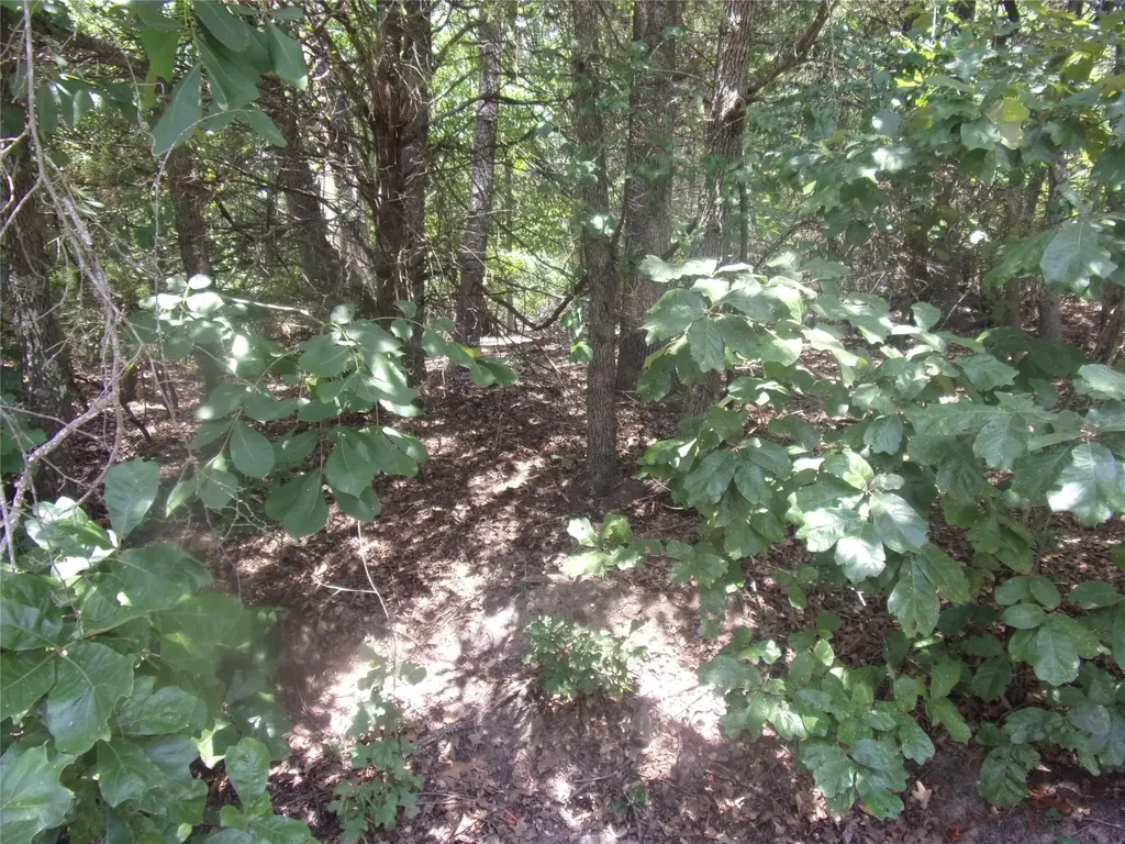 0000 Wildwood Murchison TX 75778