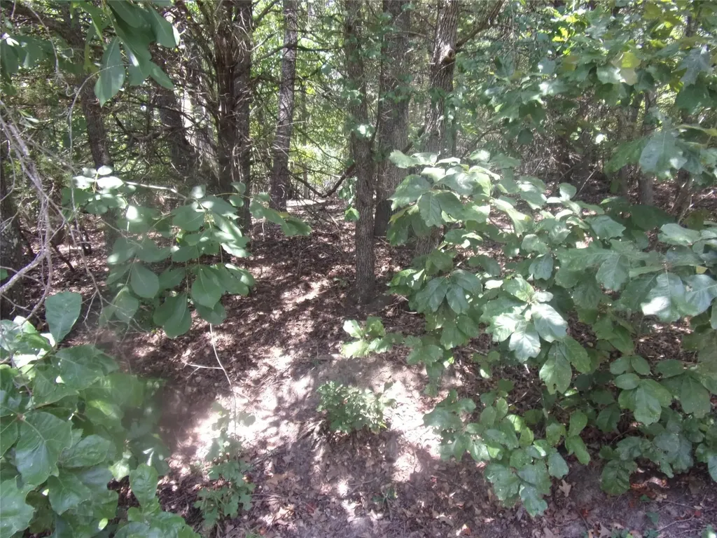 0000 Wildwood Murchison TX 75778