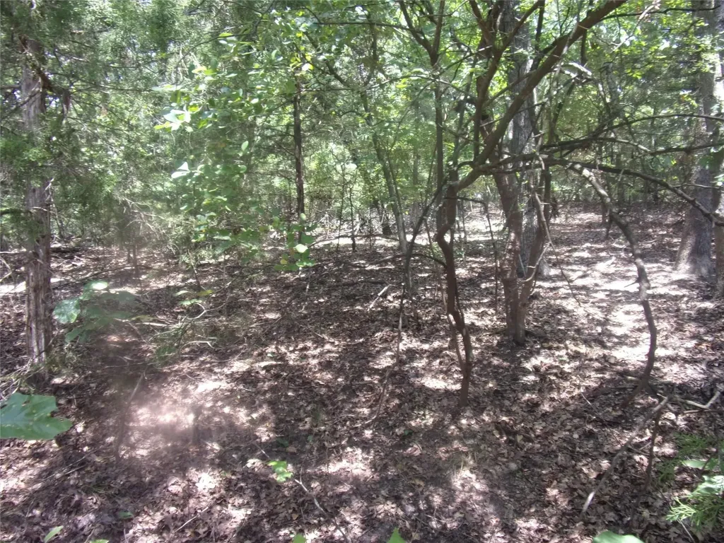 0000 Wildwood Murchison TX 75778