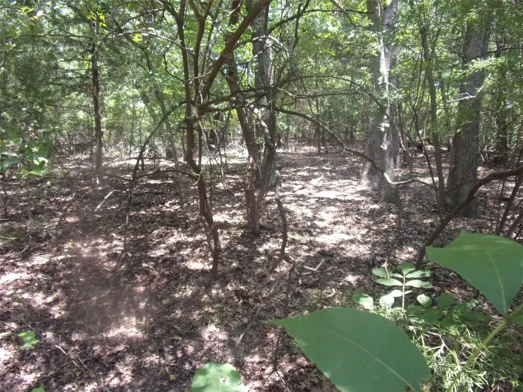 0000 Wildwood Murchison TX 75778