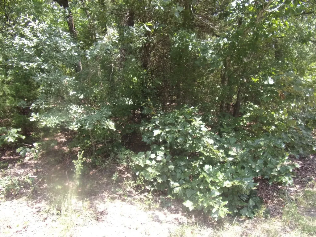 0000 Wildwood Murchison TX 75778