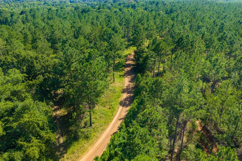 00 County Road 1310 Rusk TX 75785