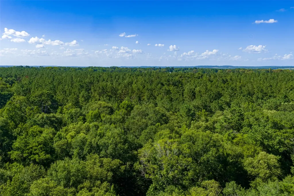 00 County Road 1310 Rusk TX 75785