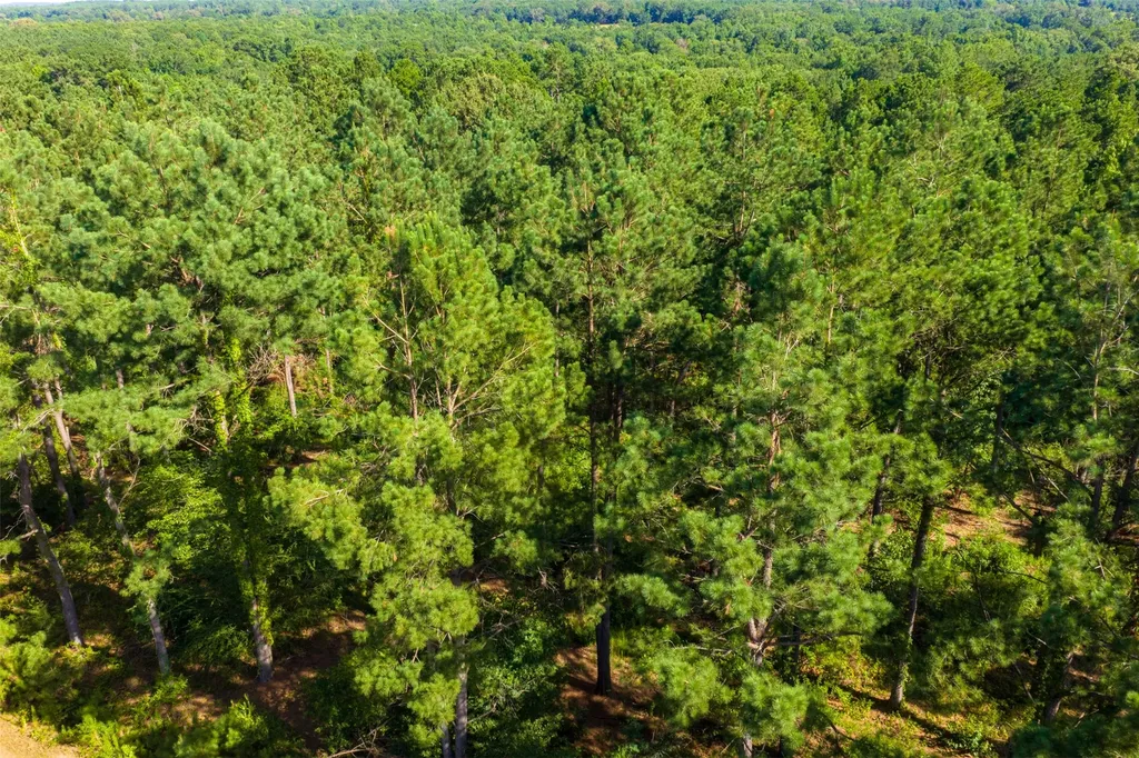 00 County Road 1310 Rusk TX 75785