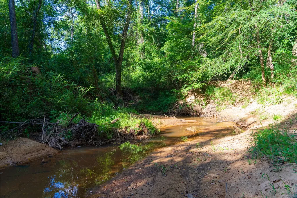 00 County Road 1310 Rusk TX 75785