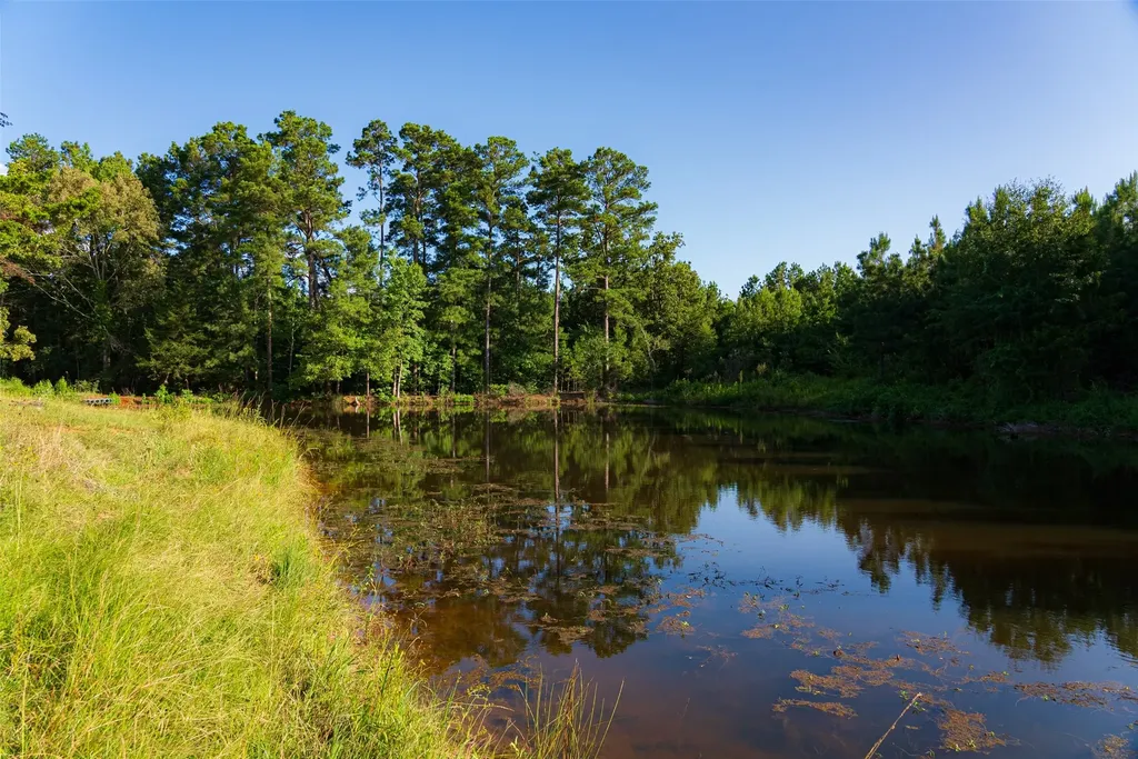 00 County Road 1310 Rusk TX 75785