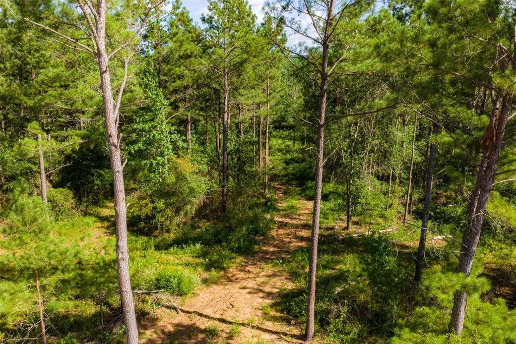00 County Road 1310 Rusk TX 75785