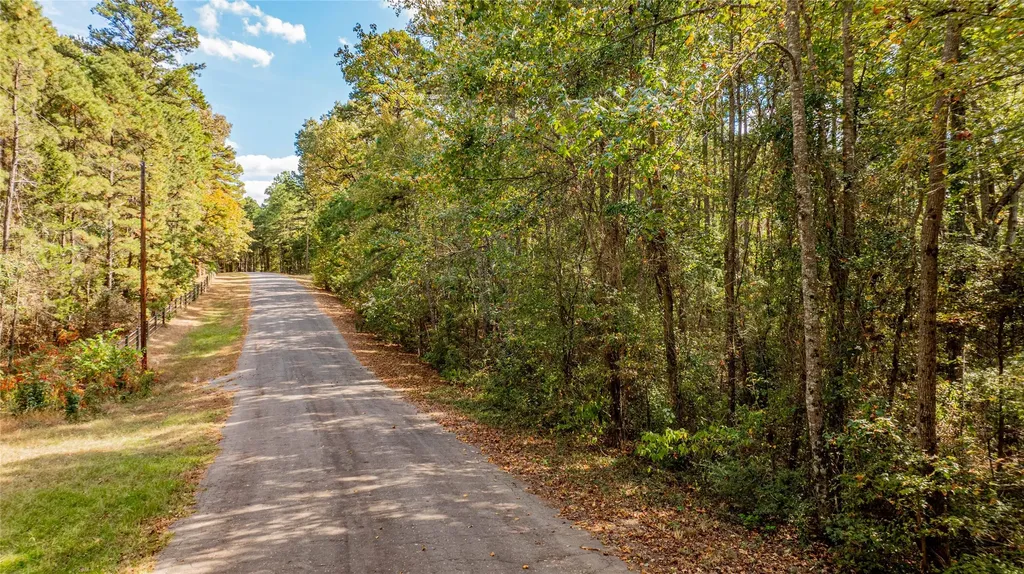 Tbd County Road 4558 Winnsboro TX 75494