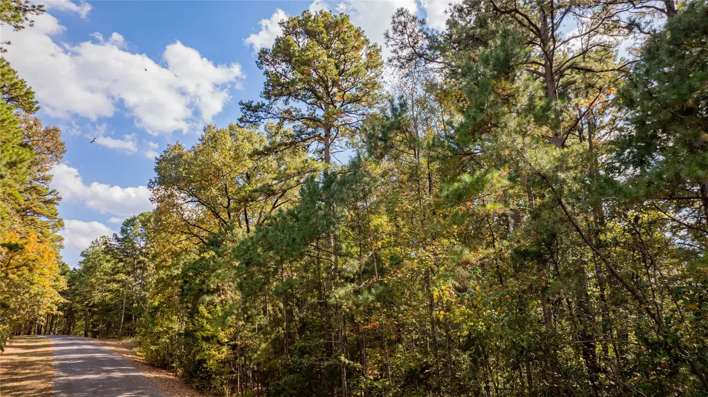 Tbd County Road 4558 Winnsboro TX 75494