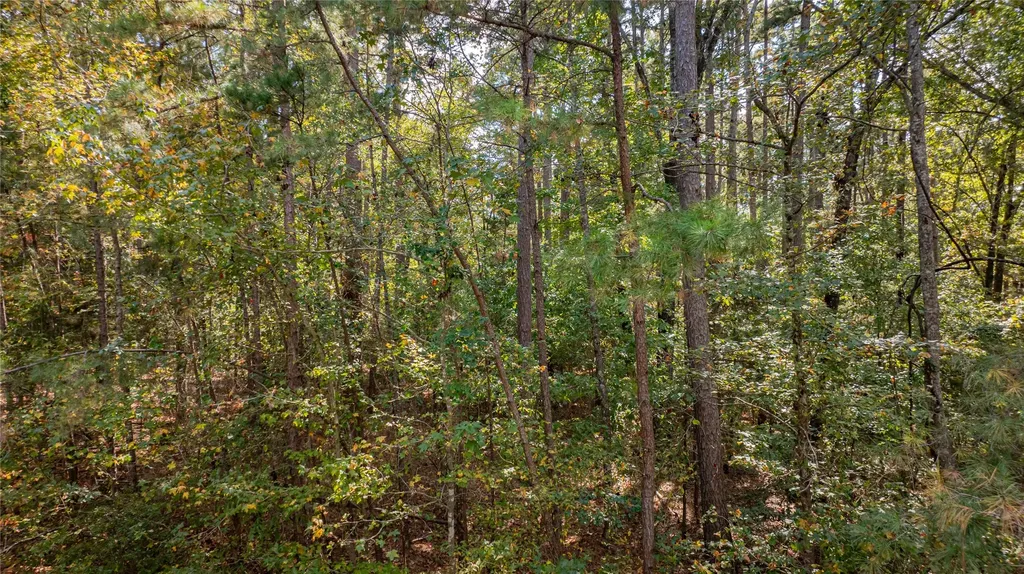 Tbd County Road 4558 Winnsboro TX 75494