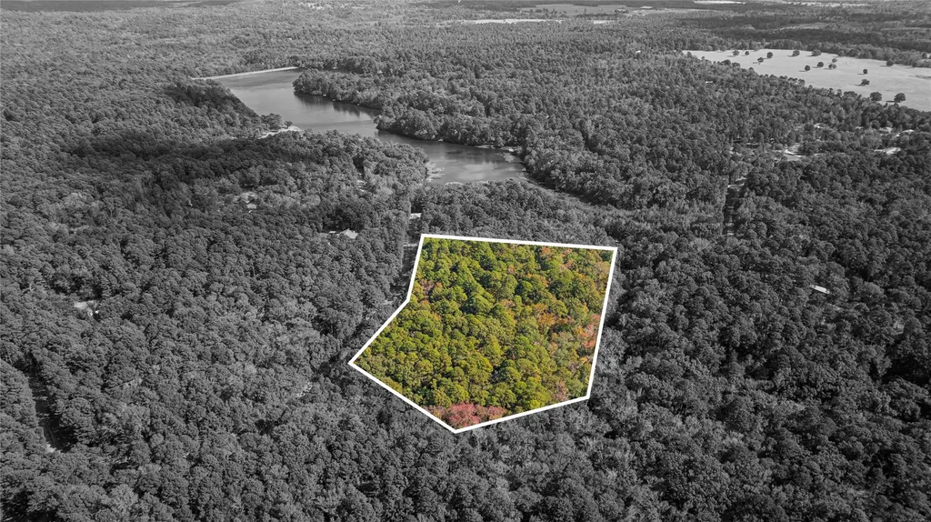 Tbd County Road 4558 Winnsboro TX 75494