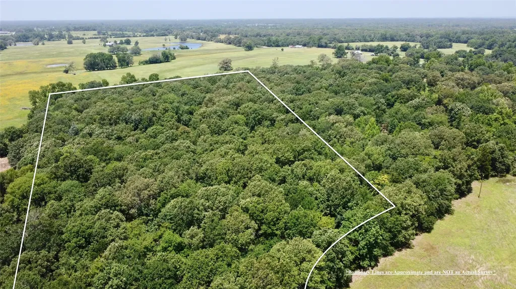 Tract 6 Cr 44400 Powderly TX 75473