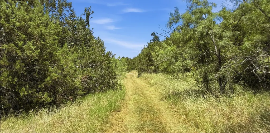 2875 County Road 610 Hamilton TX 76531