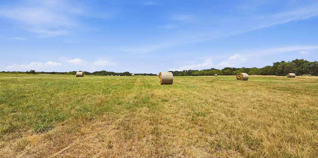 2875 County Road 610 Hamilton TX 76531