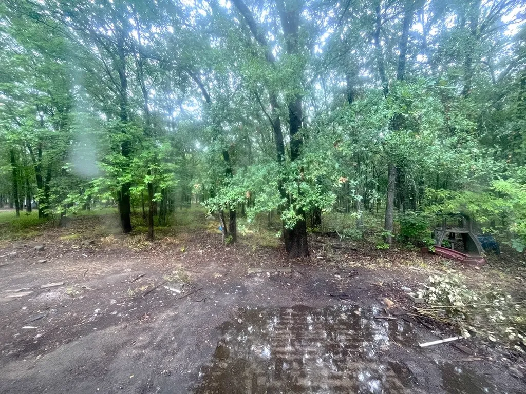 1312 Raintree Road West Tawakoni TX 75474
