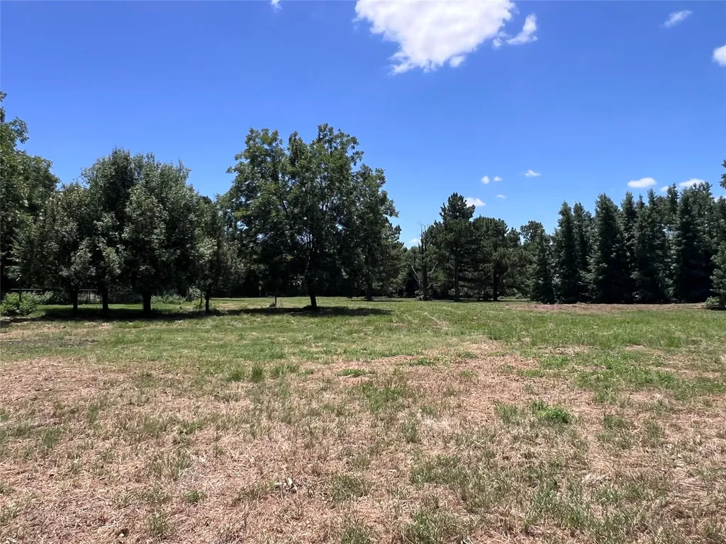 16926 County Road 4336 Larue TX 75770
