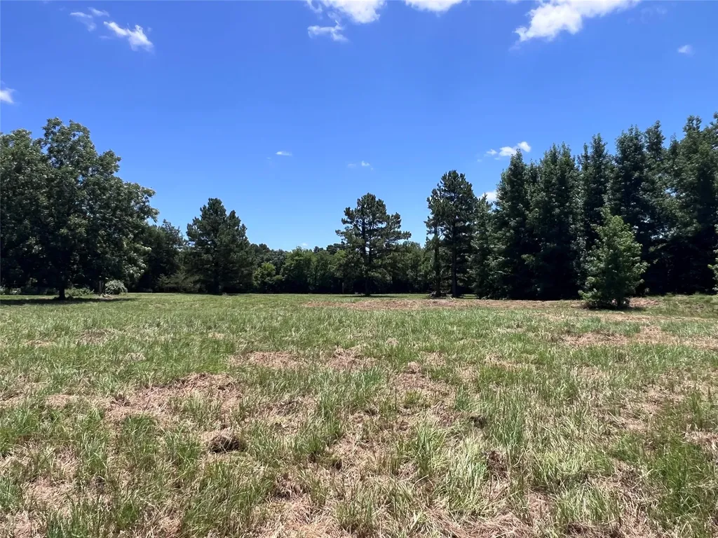 16926 County Road 4336 Larue TX 75770