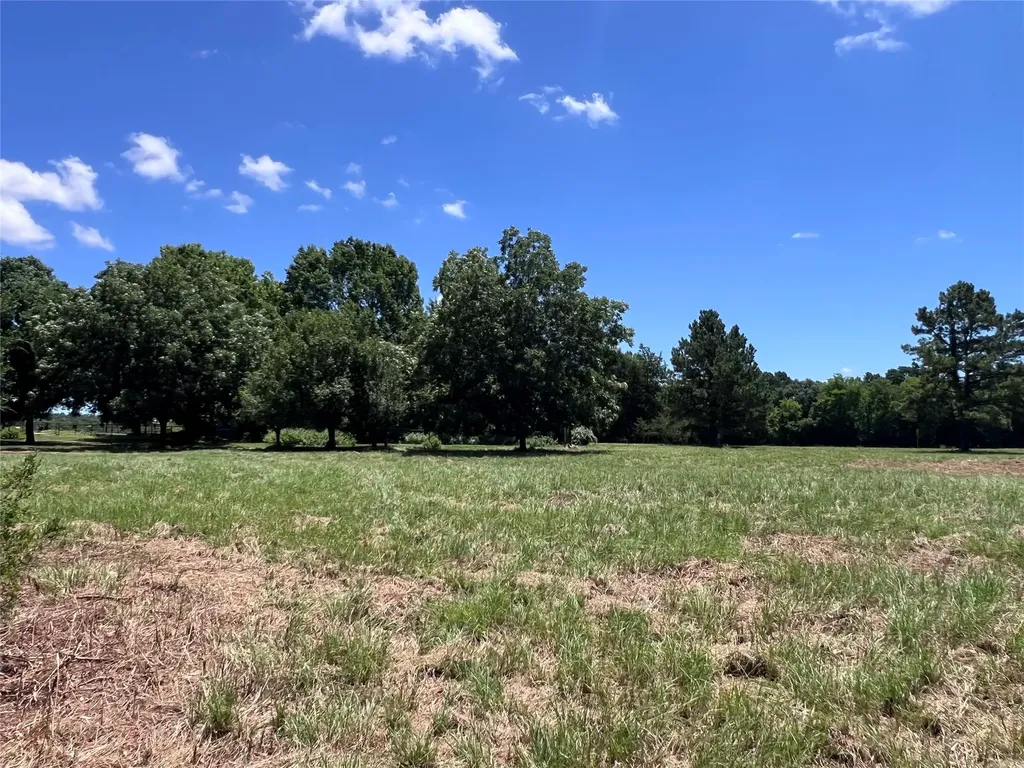 16926 County Road 4336 Larue TX 75770