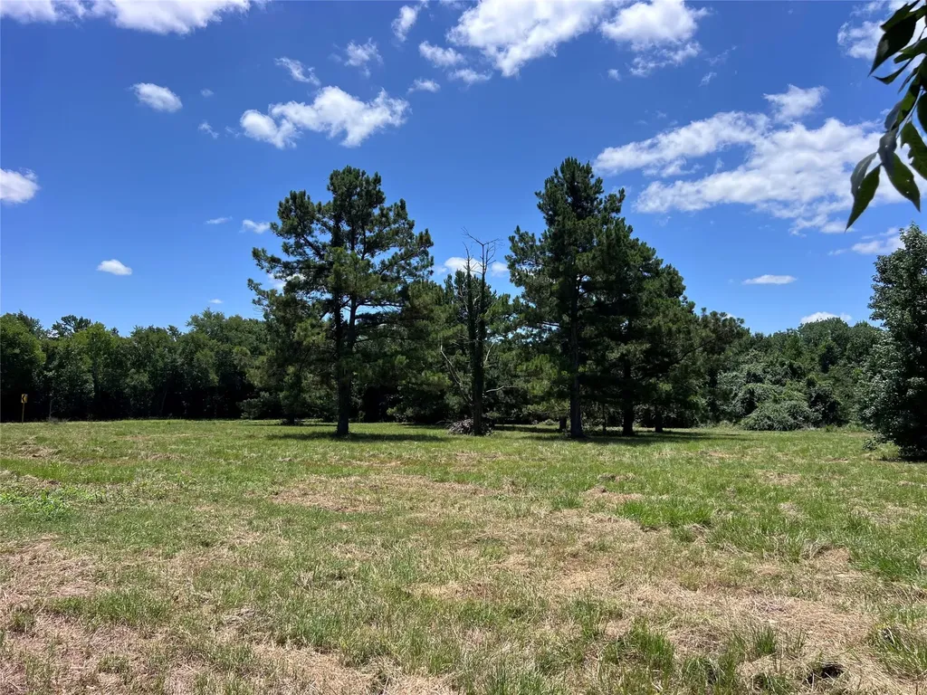 16926 County Road 4336 Larue TX 75770