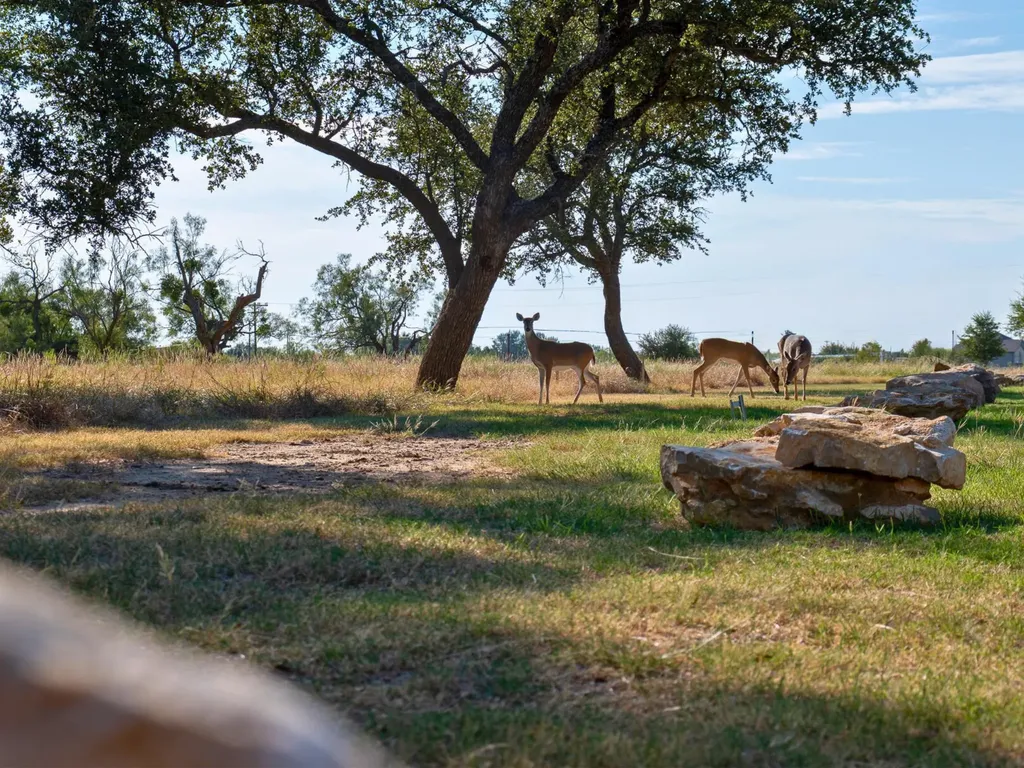 640 Cypress Point Drive Graford TX 76449