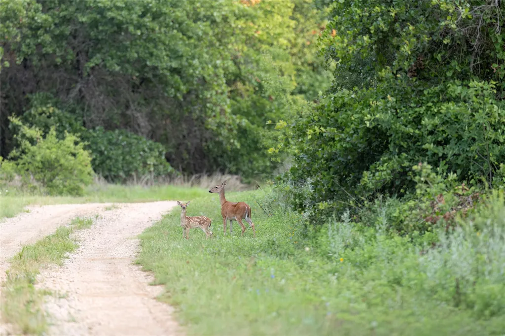 10371 State Highway 148 Jacksboro TX 76458