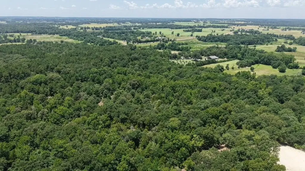 1595 County Road 4112 Canton TX 75103