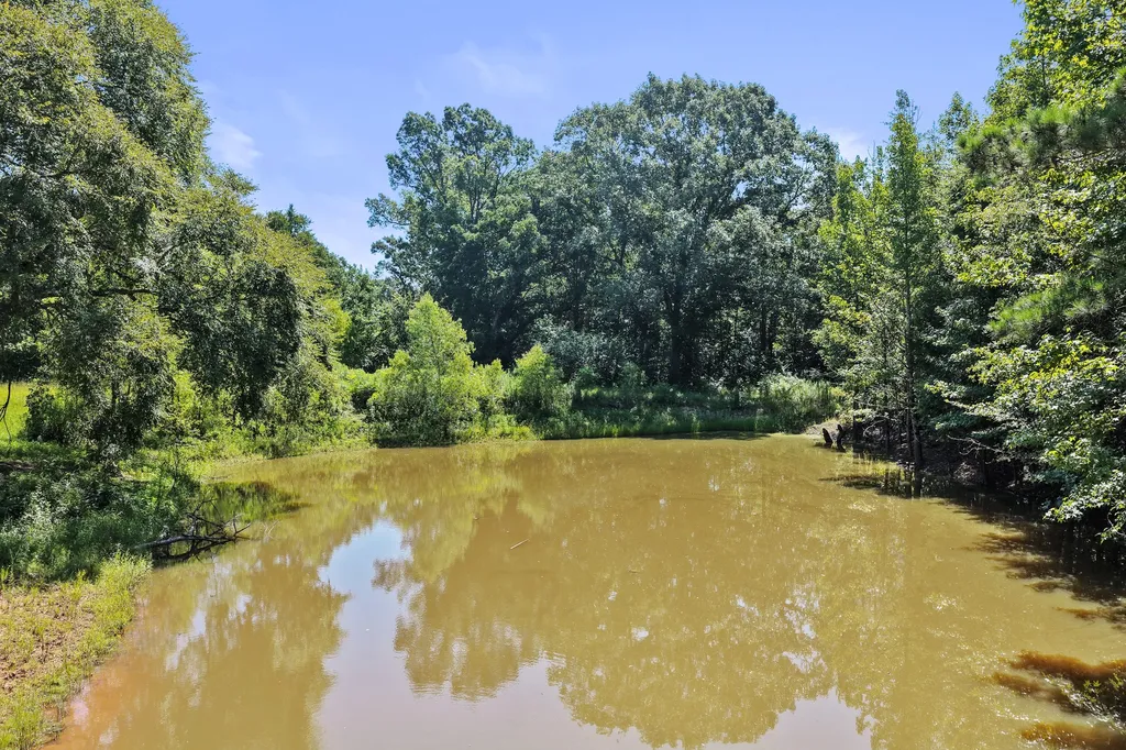 1710 County Road 2928 Hughes Springs TX 75656