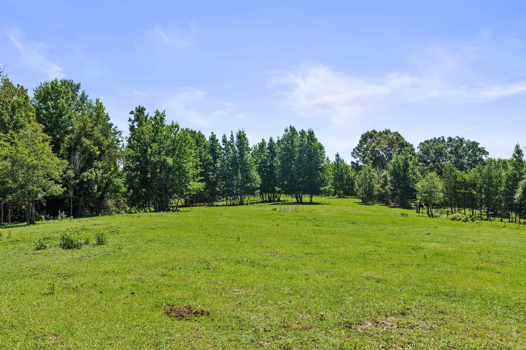 1710 County Road 2928 Hughes Springs TX 75656