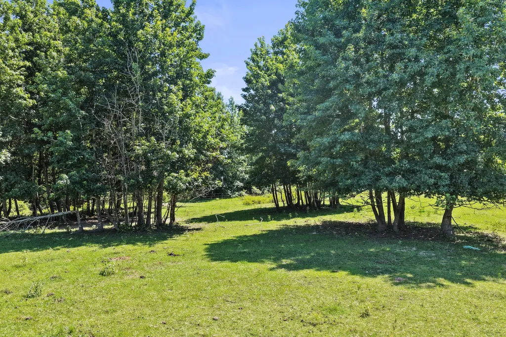 1710 County Road 2928 Hughes Springs TX 75656