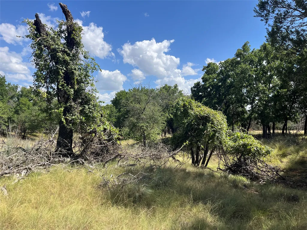 895 County Road 2480 Hico TX 76457