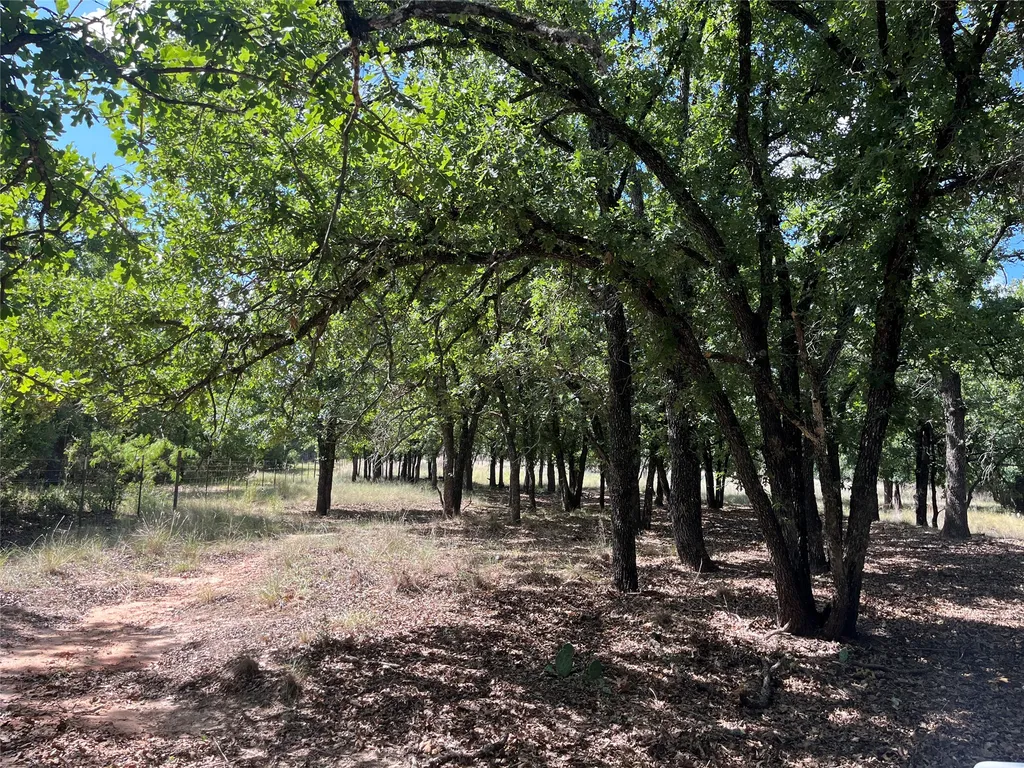 895 County Road 2480 Hico TX 76457