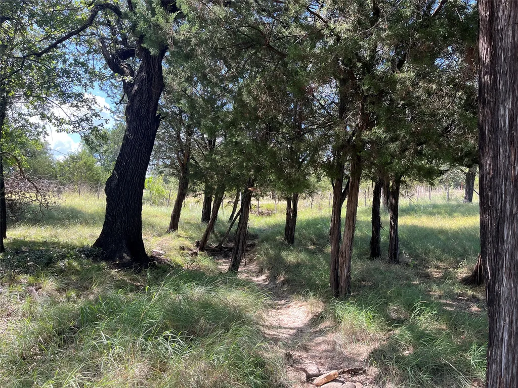 895 County Road 2480 Hico TX 76457