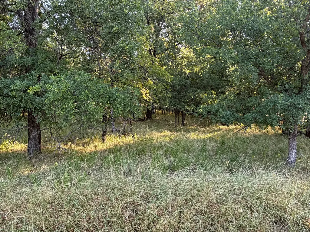 576 Willow Drive May TX 76857