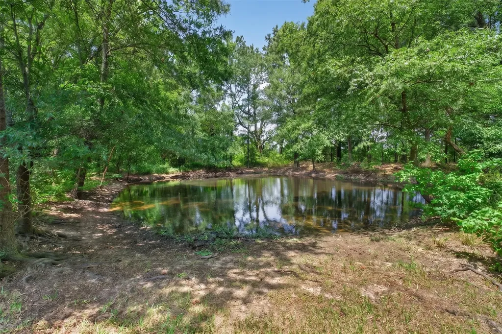 1094 County Road 2389 Alba TX 75410