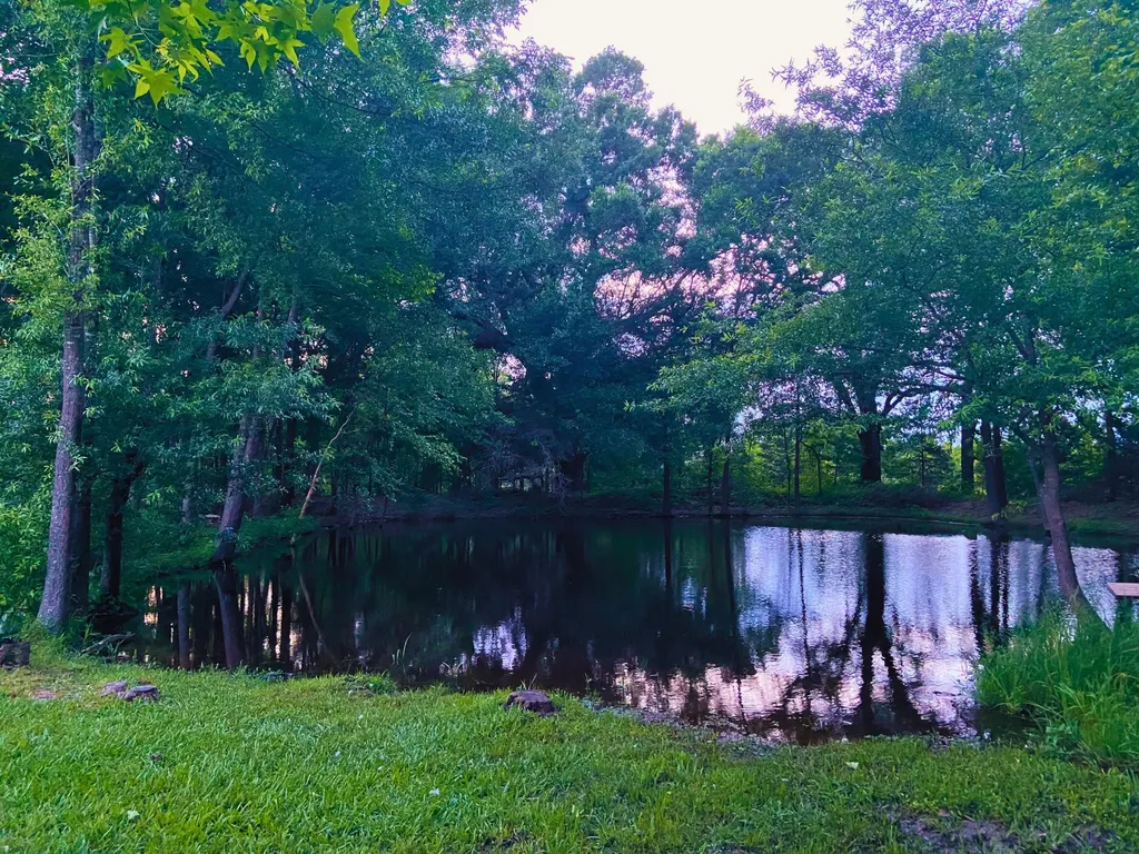 1094 County Road 2389 Alba TX 75410