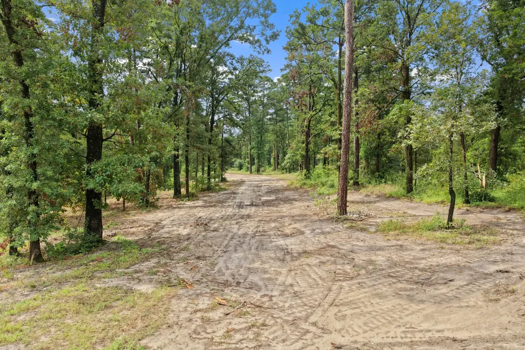 4580 Fm 3007 Scroggins TX 75480