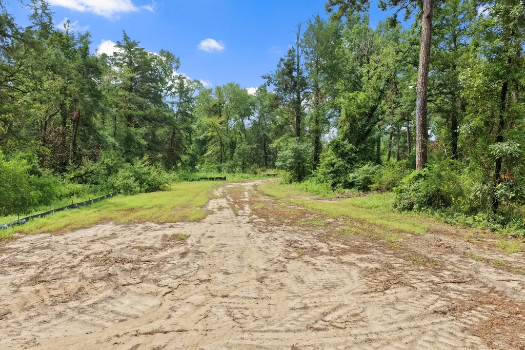 4580 Fm 3007 Scroggins TX 75480